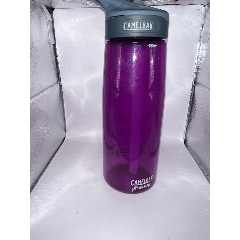 CamelBak Eddy 750ml Water Bottle Purple BPA Free Plastic Hydration Hiking Gym